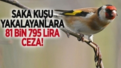 Saka kuşu yakalayanlara 81 bin 795 lira ceza