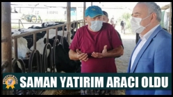 Saman Yatırım Aracı Oldu