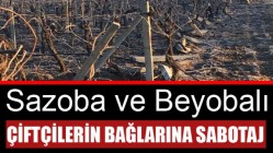 Sazoba ve Beyobalı çiftçilerin bağlarına sabotaj