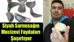 Siyah Sarmısağın Mucizevi Faydaları Şaşırtıyor