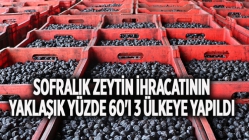 Sofralık Zeytin İhracatının Yüzde 60’ı 3 Ülkeye Yapıldı