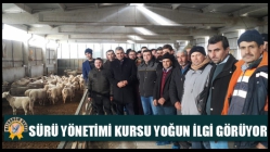 Sürü Yönetimi Kursu Yoğun İlgi Görüyor