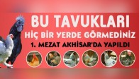 Süs Tavukları ve Bahçe Hayvanlarına Yoğun İlgi