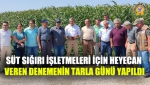 Süt Sığırı İşletmeleri İçin Heyecan Veren Denemenin Tarla Günü Yapıldı