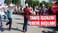 Tariş İşçileri Greve Başladı