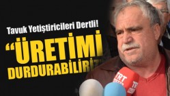 Tavuk Yetiştiricileri Dertli! “Üretimi Durdurabiliriz”