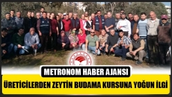 Üreticilerden Zeytin Budama Kursuna Yoğun İlgi