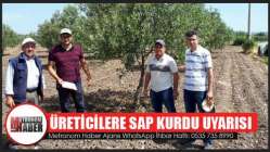 Üreticilere Sap Kurdu Uyarısı