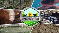 Uzman Eller Projesinde Hibe Tutarı 250 Bin Liraya Çıkarıldı