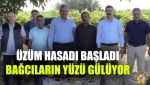 Üzüm Hasadı Başladı, Bağcıların Yüzü Gülüyor