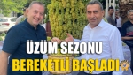 Üzüm Sezonu Bereketli Başladı