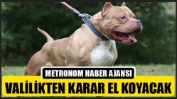 Valilikten Karar El Koyacak