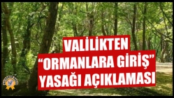 Valilikten ‘‘Ormanlara Giriş’’ Yasağı Açıklaması