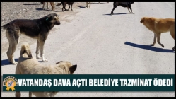 Vatandaş Dava Açtı Belediye Tazminat Ödedi