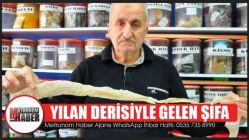 Yılan Derisiyle Gelen Şifa