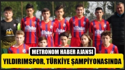 Yıldırımspor, Türkiye Şampiyonasında