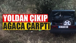 Yoldan Çıkan Araç Ağaca Çarparak Durabildi