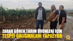 Zarar Gören Tarım Ürünleri İçin Tespit Çalışmaları Yapılıyor