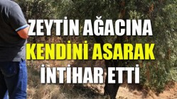 Zeytin ağacına kendini asarak intihar etti