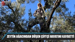 Zeytin ağacından düşen çiftçi hayatını kaybetti