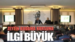 Zeytin Budama Kursuna İlgi Büyük