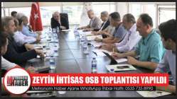 Zeytin İhtisas OSB toplantısı yapıldı