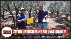 Zeytin Üreticilerine Bir Uyarı Daha!!!