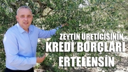 Zeytin Üreticisinin Kredi Borçları Ertelensin