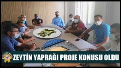 Zeytin Yaprağı Proje Konusu Oldu