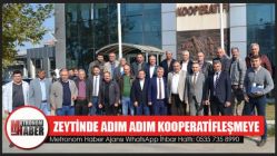 Zeytinde Adım Adım Kooperatifleşmeye