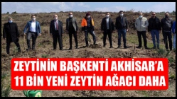 Zeytinin Başkenti Akhisar’a 11 bin yeni zeytin ağacı daha