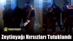 Zeytinyağı Hırsızları Tutuklandı