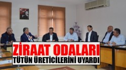 Ziraat Odaları Tütün Üreticilerini Uyardı