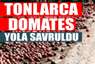 Tonlarca Domates Yola Savruldu