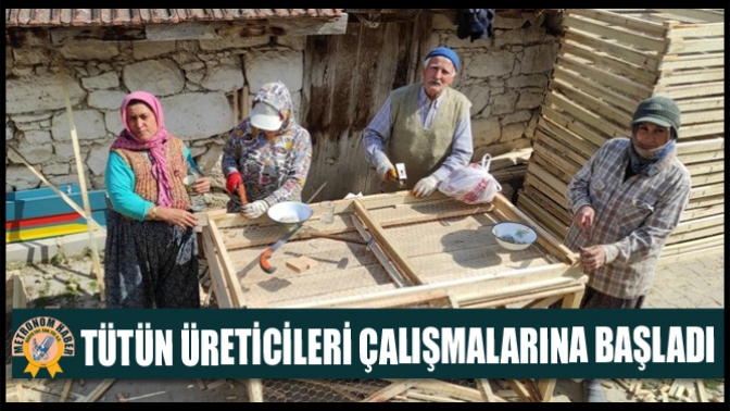 Tütün Üreticileri Çalışmalarına Başladı