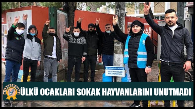 Ülkü Ocakları, sokak hayvanlarını unutmadı