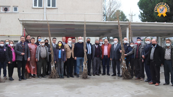 Üreticilere Ceviz Fidanı Dağıtımı Yapıldı