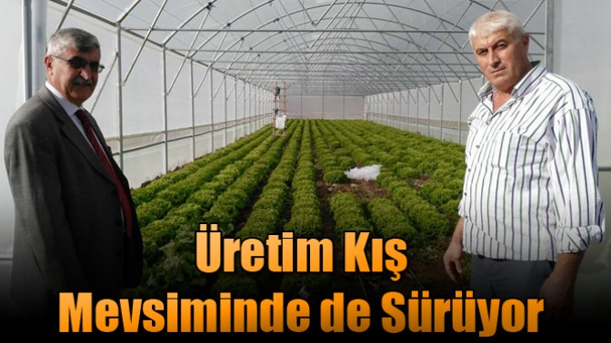 Üretim Kış Mevsiminde de Sürüyor