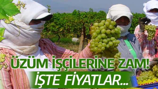 Üzüm İşçilerine Yüzde 20 Zam