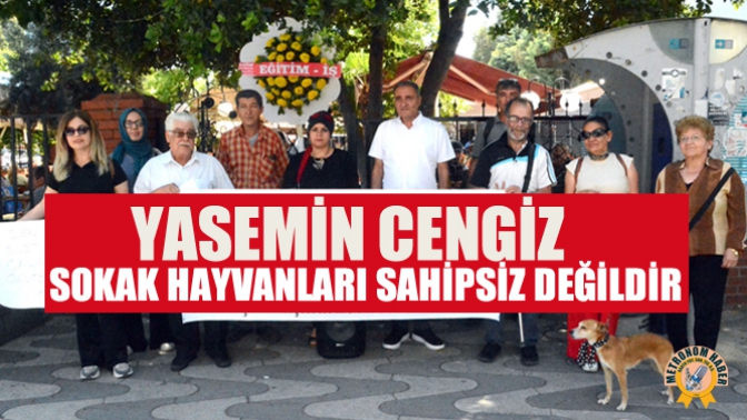 Yasemin Cengiz; Sokak Hayvanları Sahipsiz Değildir