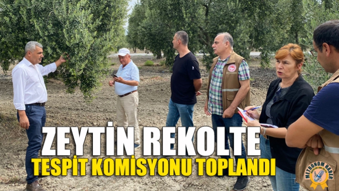 Zeytin Rekolte Tespit Komisyonu Toplandı