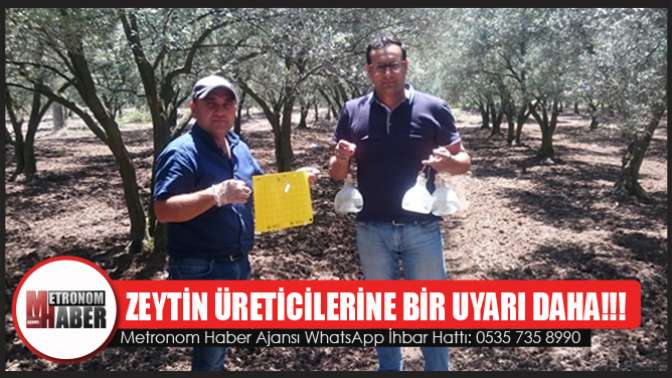 Zeytin Üreticilerine Bir Uyarı Daha!!!