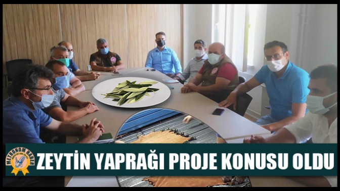 Zeytin Yaprağı Proje Konusu Oldu