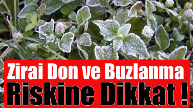 Zirai Don ve Buzlanma Riskine Dikkat !