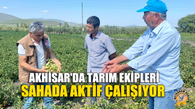 Akhisar'da Tarım Ekipleri Sahada Aktif Çalışıyor